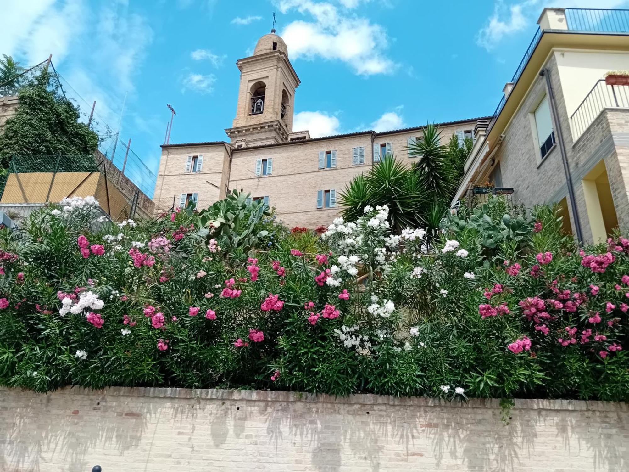 B&B Il Girasole Corridonia Bagian luar foto